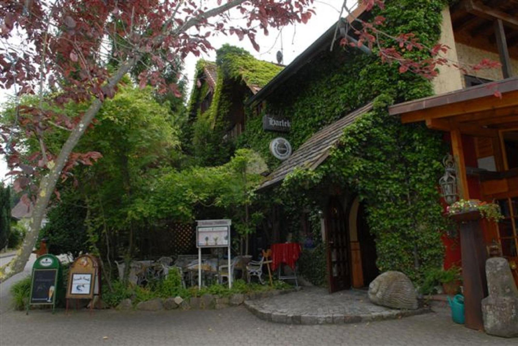 Alte Schreinerei-Auberge Harlekin Randegg Экстерьер фото