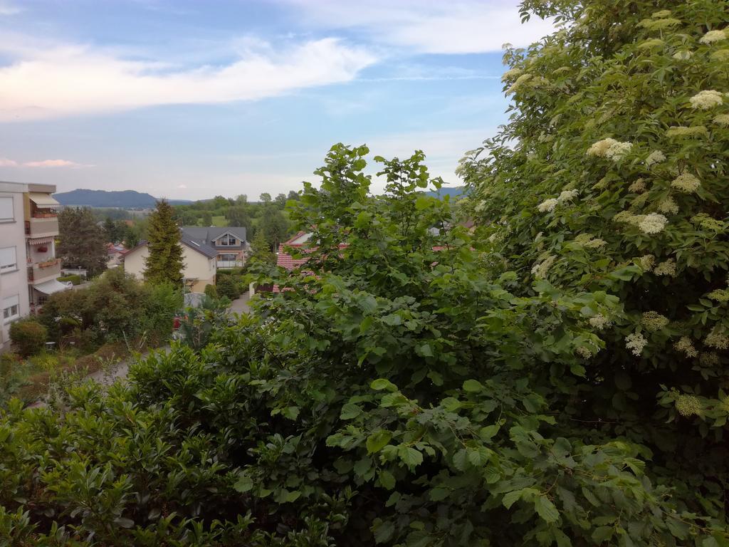 Alte Schreinerei-Auberge Harlekin Randegg Экстерьер фото